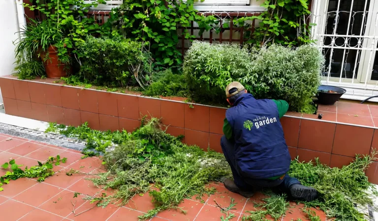 Εργασίες στον κήπο τον Δεκέμβριο